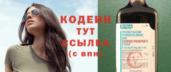 хмурый Алексин