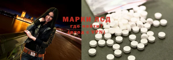 хмурый Алексин