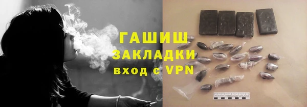 хмурый Алексин