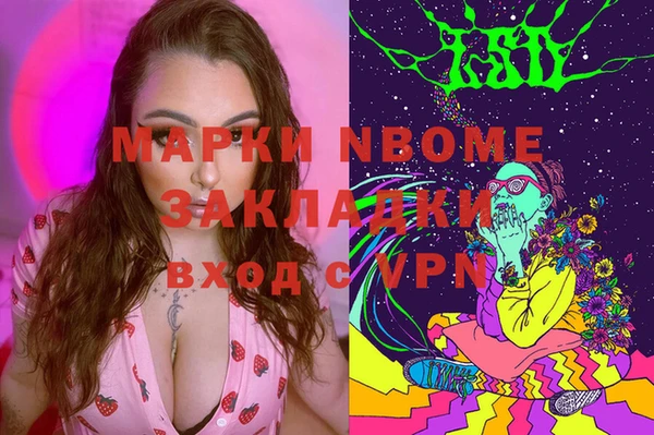 хмурый Алексин
