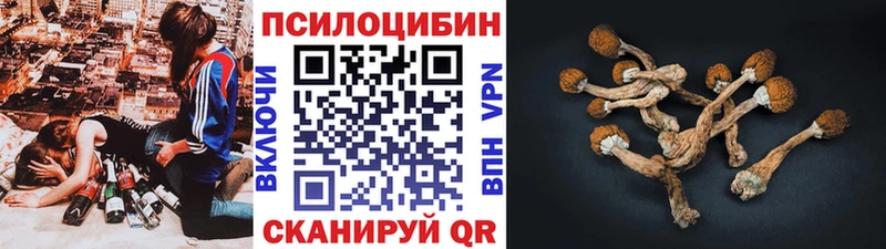 Галлюциногенные грибы Psilocybe  Дрезна 